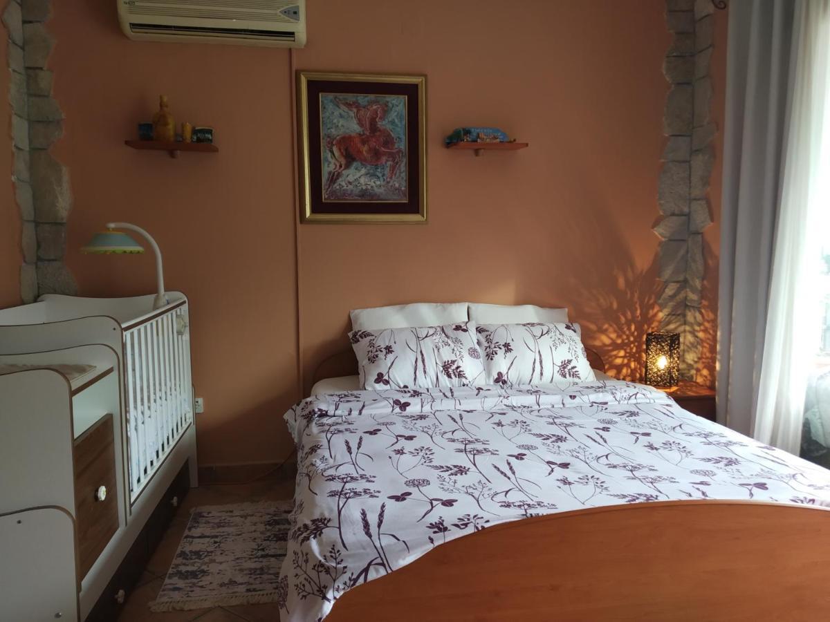 Apartment Aki Kotor