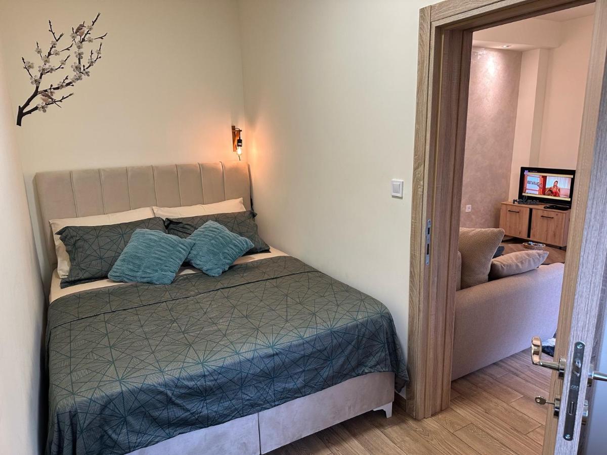 Aki Apartment Kotor